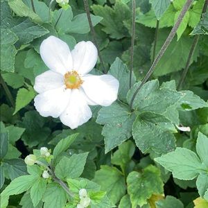 Meet your Posher, Eun